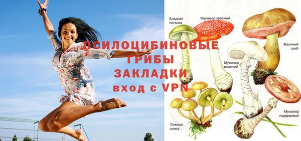 а пвп мука Арсеньев